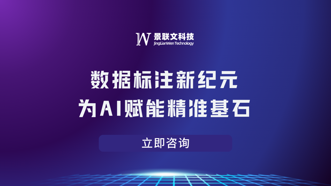 领航数据标注行业，满足大模型时代新需求 (15).png